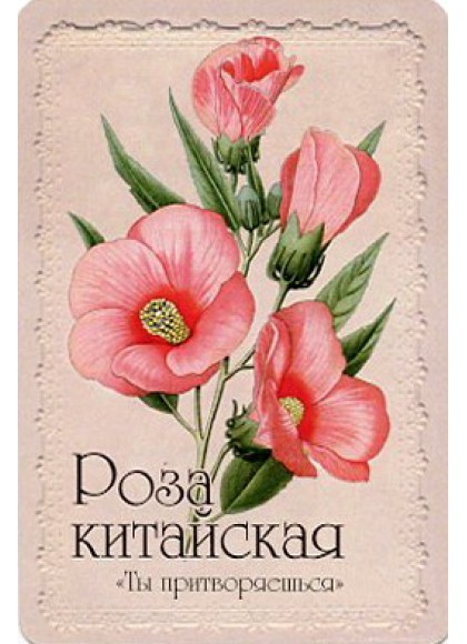 Оракул «Селам или Язык Цветов»